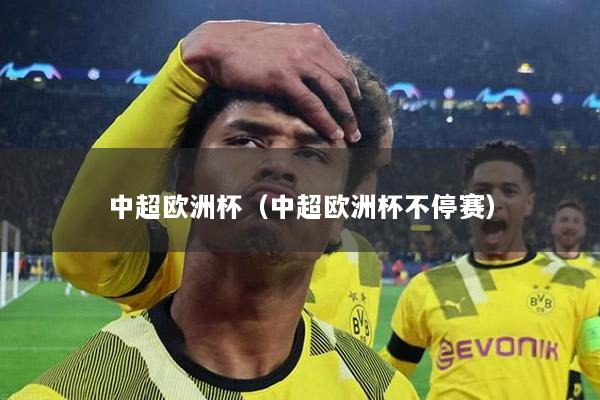 中超欧洲杯（中超欧洲杯不停赛）