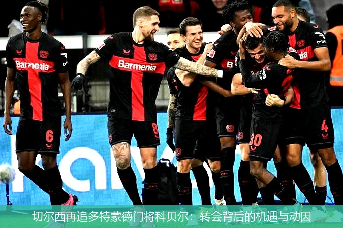 切尔西再追多特蒙德门将科贝尔：转会背后的机遇与动因