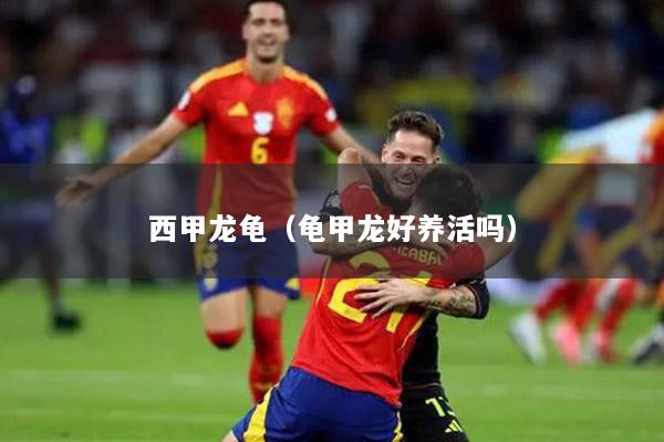 西甲龙龟（龟甲龙好养活吗）