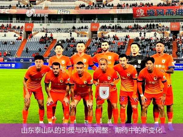 山东泰山队的引援与阵容调整:期待中的新变化