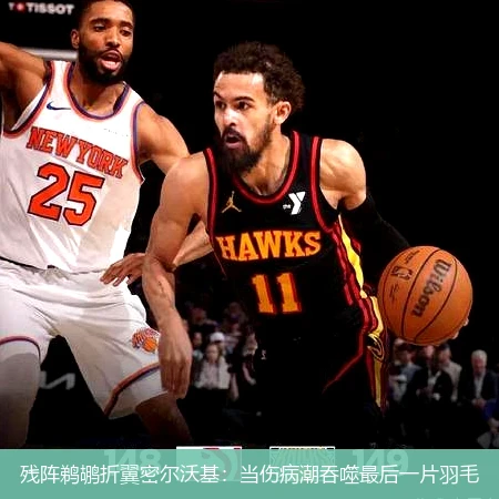 4月11日讯,残阵鹈鹕折翼密尔沃基：当伤病潮吞噬最后一片羽毛