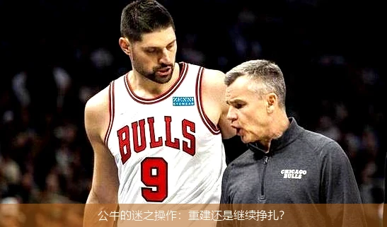 公牛的迷之操作：重建还是继续挣扎？