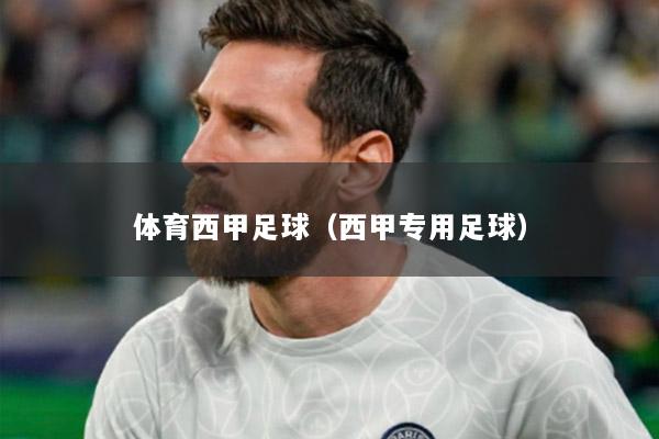 体育西甲足球（西甲专用足球）