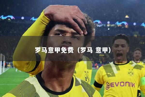 罗马意甲免费（罗马 意甲）