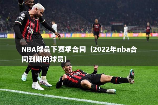 NBA球员下赛季合同（2022年nba合同到期的球员）