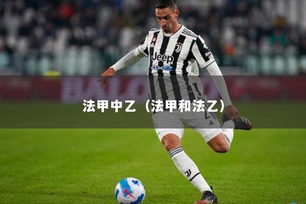 法甲中乙（法甲和法乙）