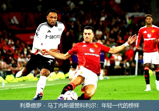 利桑德罗 - 马丁内斯盛赞科利尔：年轻一代的榜样